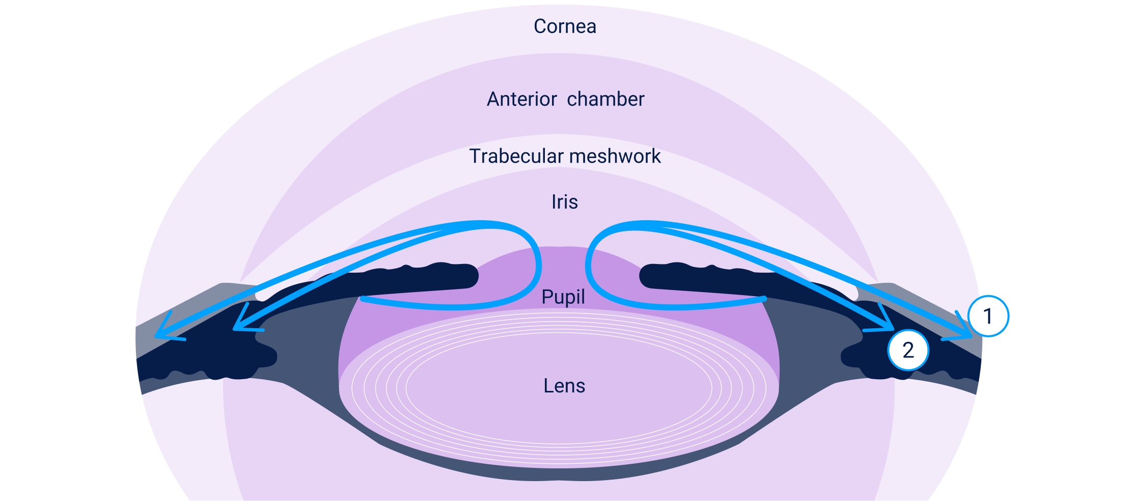 lumigan-md-offers-dual-MOA