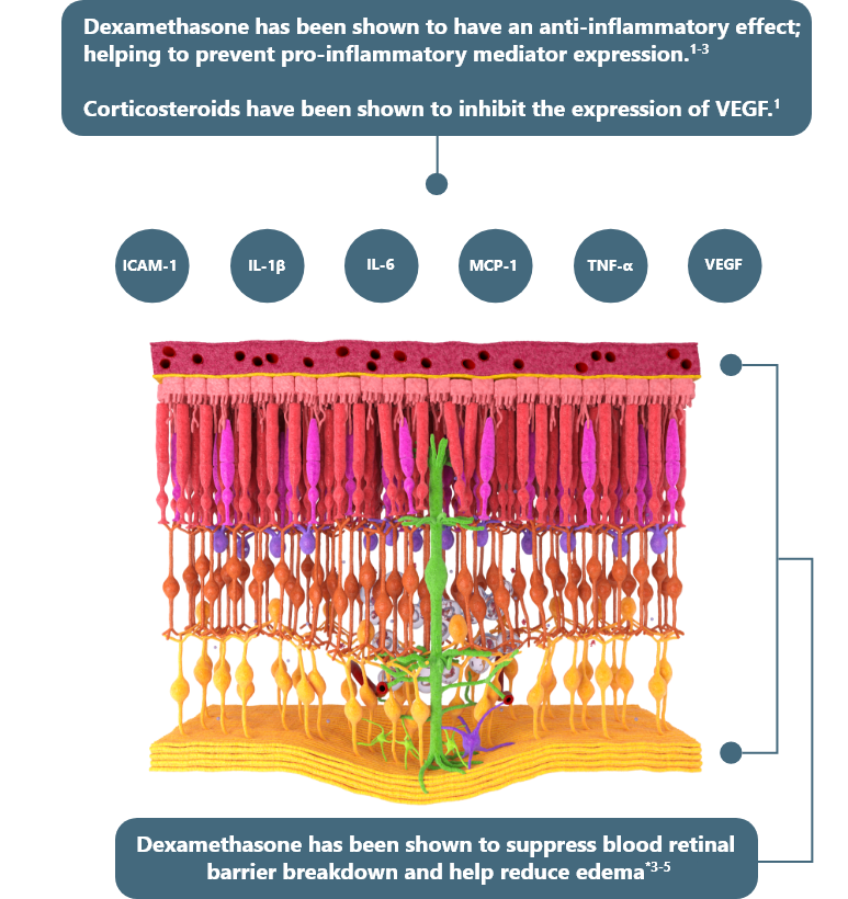 HyperGlycemia