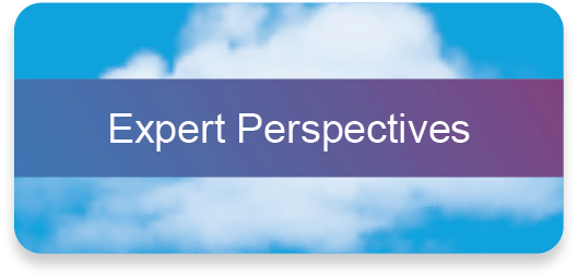 Expert perspectives