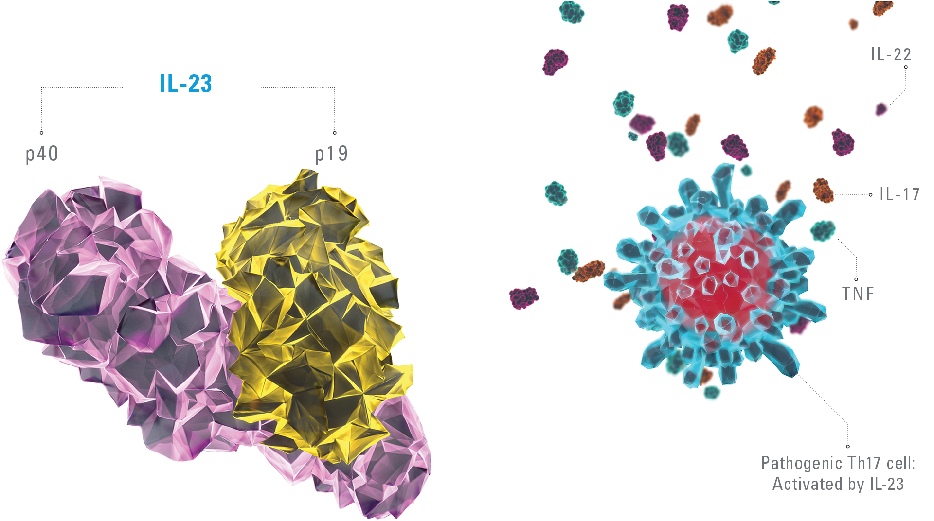 Skyrizi-Q3-2020-cells-before_v3