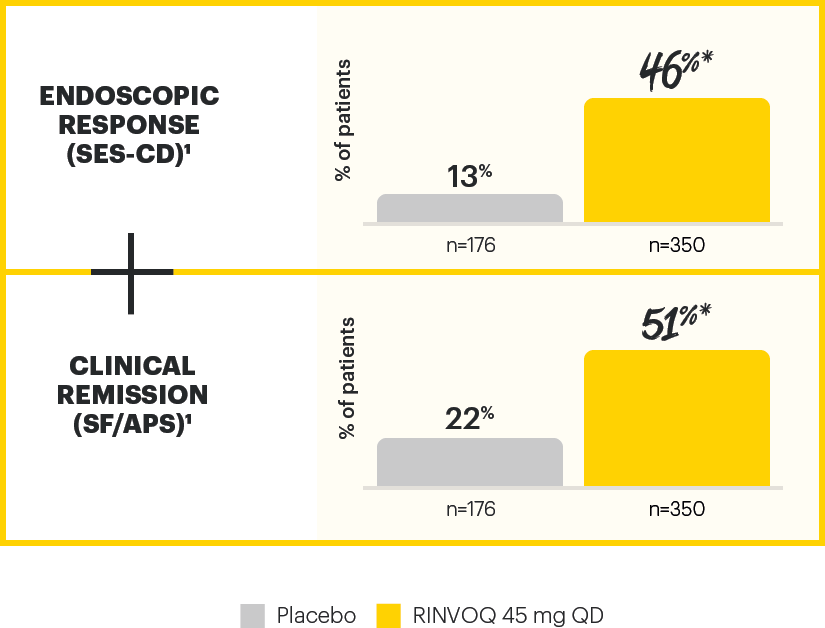 dt-chart-endo-induct-12-excel-v1