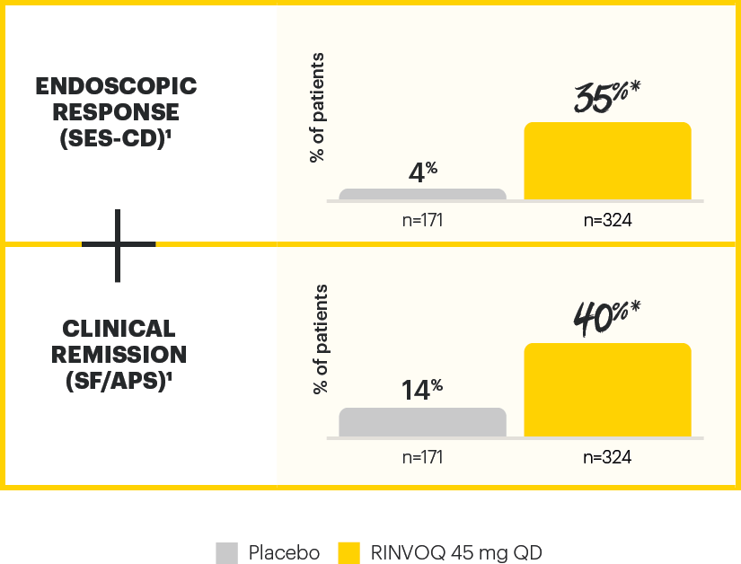 dt-chart-endo-induct-12-exceed-v1