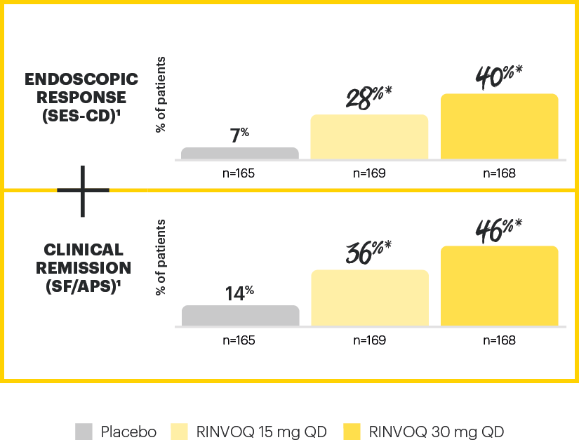 dt-chart-endo-maint-52-endure-v1
