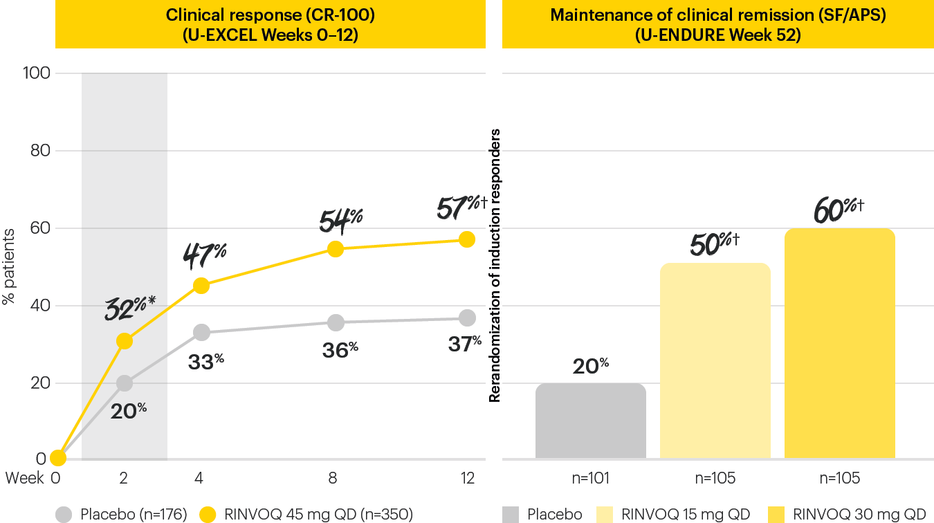 dt-chart-U-EXCEL-clinical-resp-v7