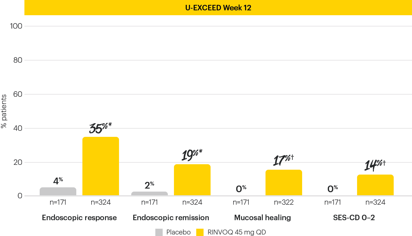 dt-chart-endo-12-EXCEED-v2