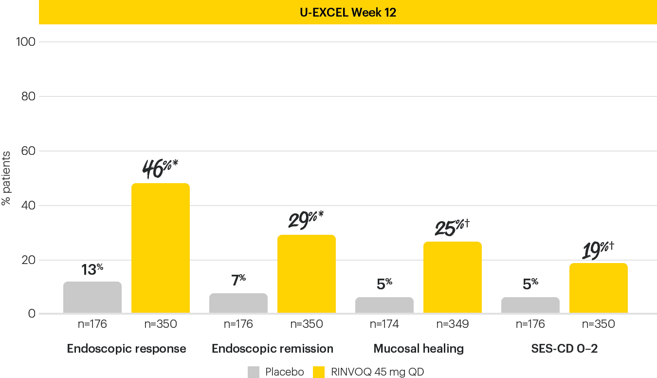 dt-chart-endo-12-EXCEL-v2
