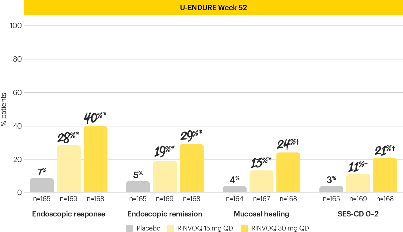 dt-chart-endo-52-ENDURE-v3
