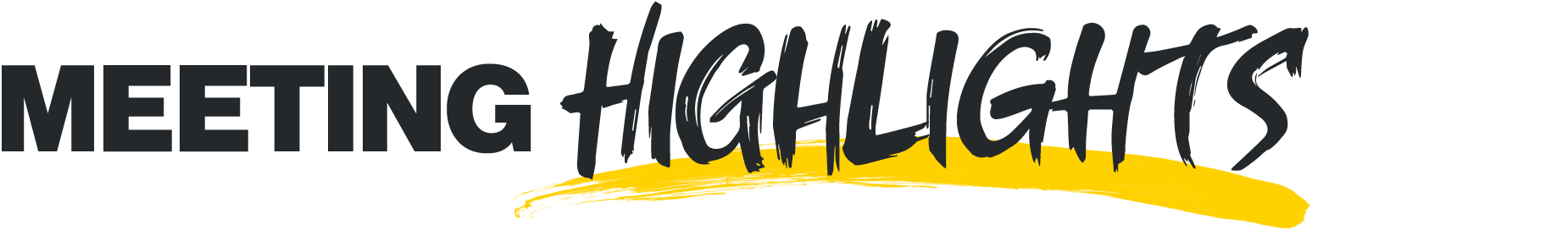 meeting-highlights-heading-v1