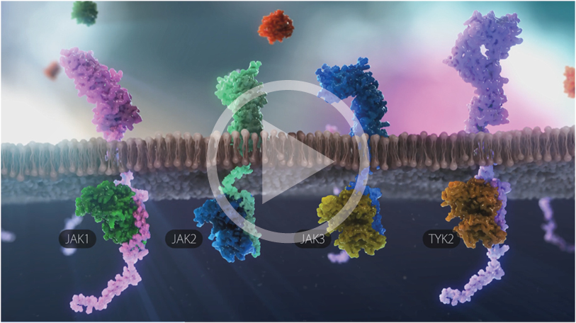 Cytokine signaling pathways in JAKs video
