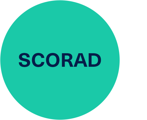scales-scorad-v1