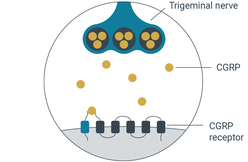 aquipta-diagrams-1-1-5