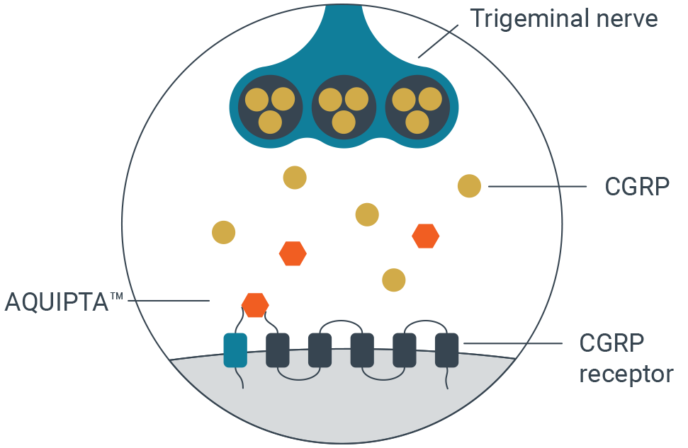 aquipta-diagrams-1-2-5