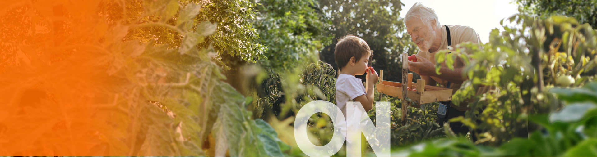 ON Grandfather and Grandson