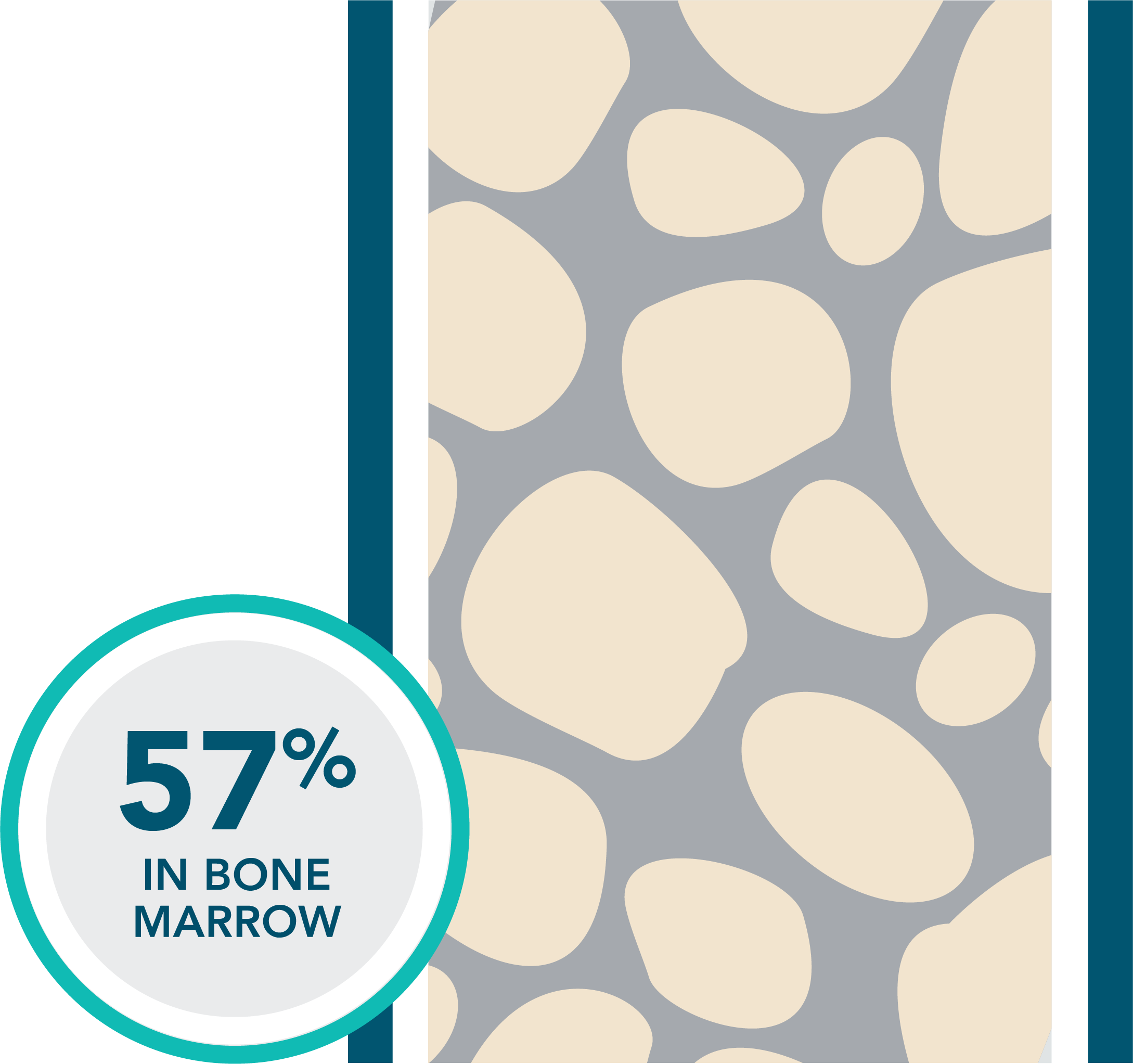First-line VEN+O: 57% of patients had undetectable MRD in bone marrow