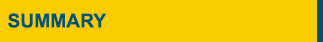 summary