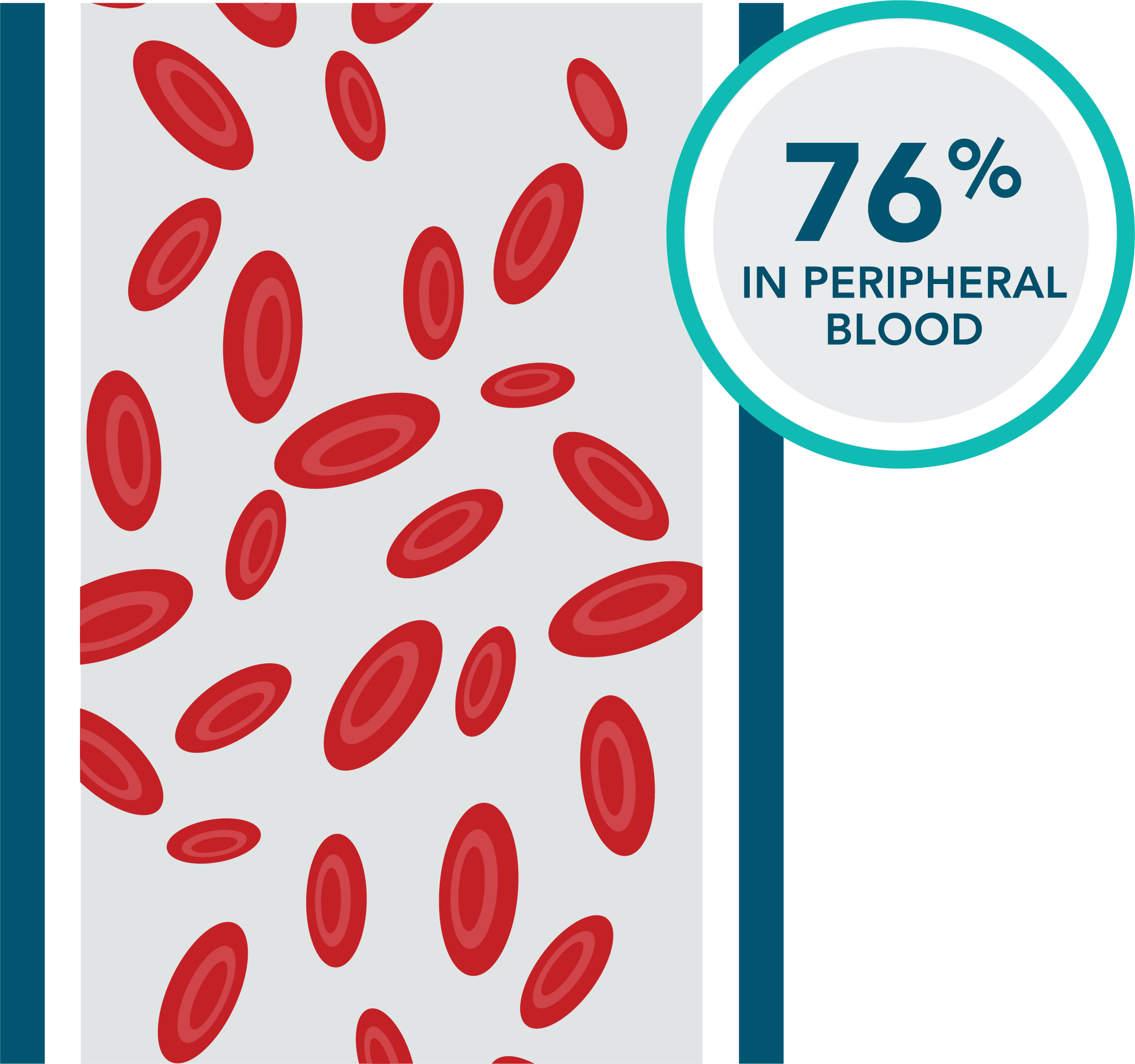 First-line VEN+O: 76% of patients had undetectable MRD in peripheral blood