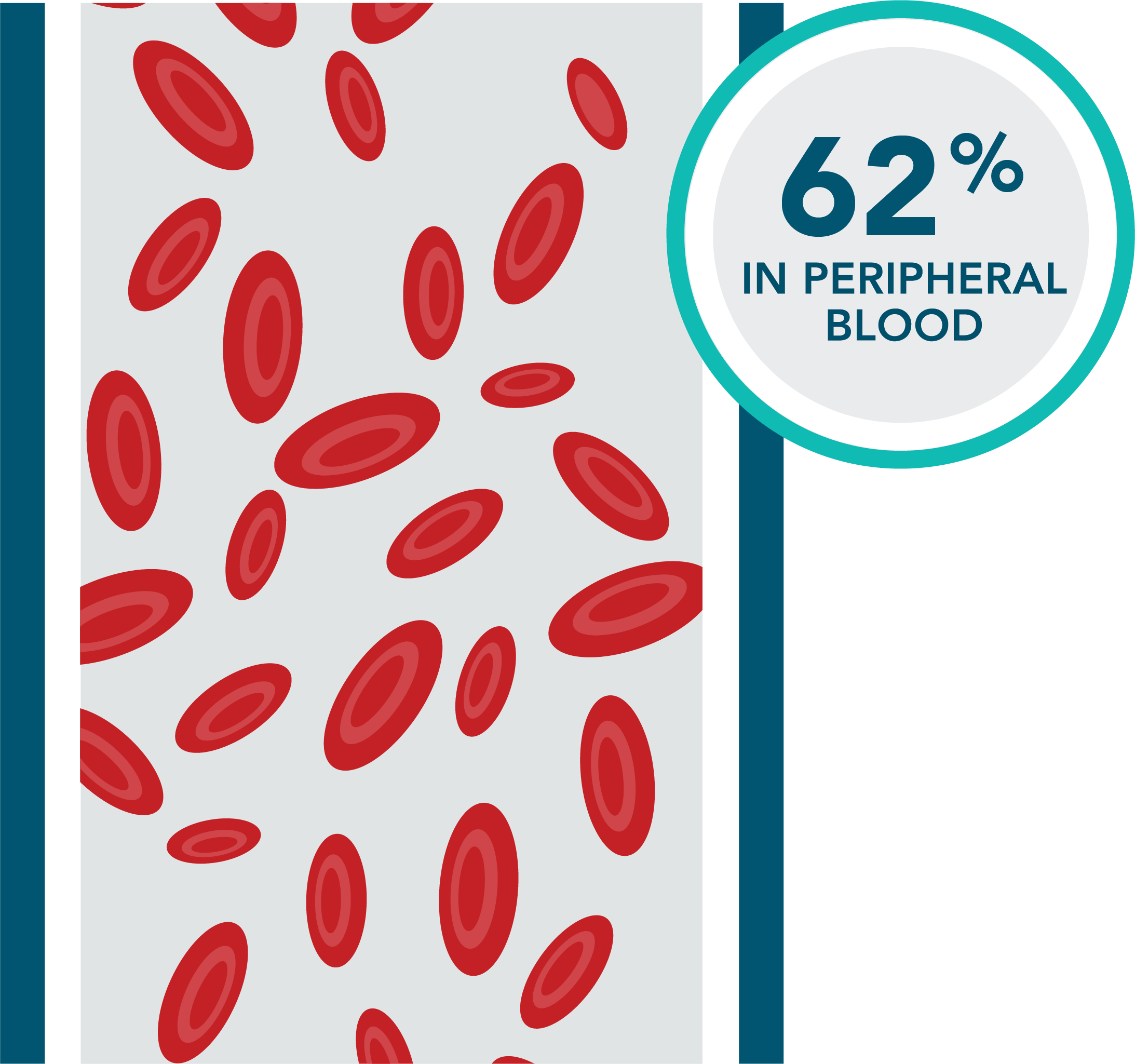 Previously-treated VEN+R patients: 62% undetectable MRD in peripheral blood