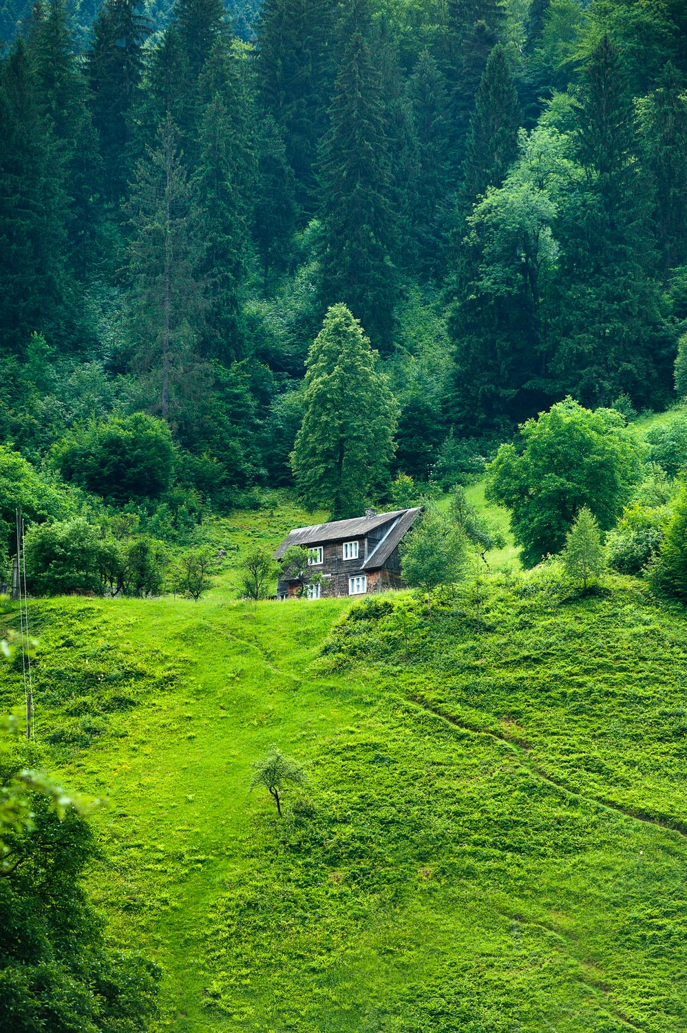 pexels-photo-1172064