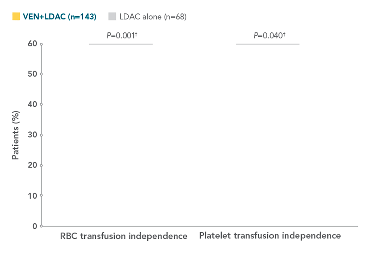 TRANSFUSION INDEPENDENCE chart