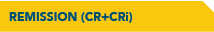 REMISSION (CR+CRi)