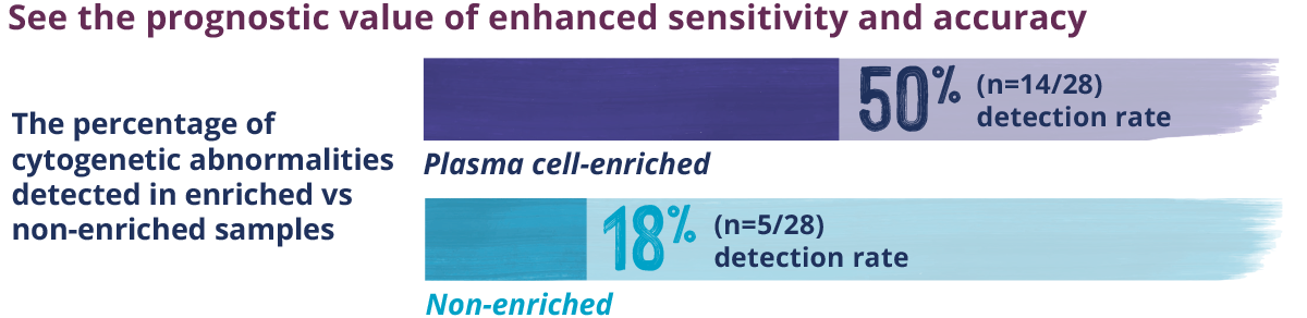 abbildung-see-the-prognose-1200x292px