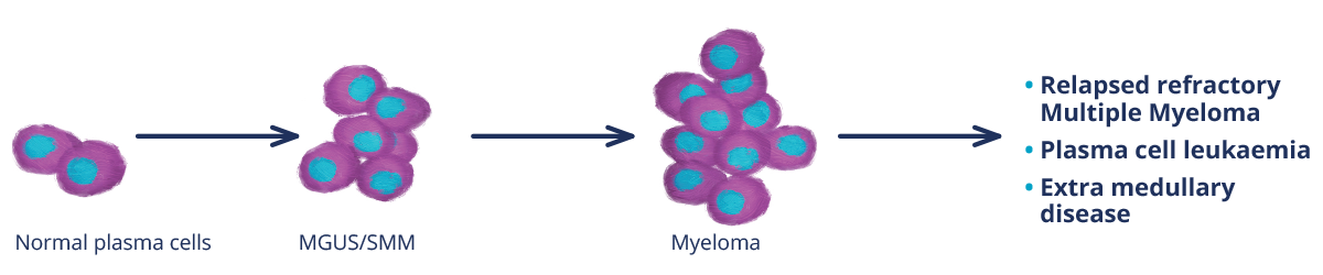 identifying-cytogenetic-abnormalities-1200x250px