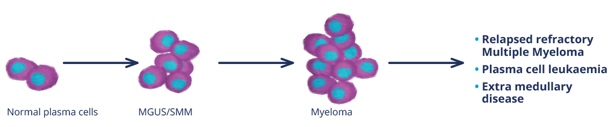 identifying-cytogenetic-abnormalities-1200x250px