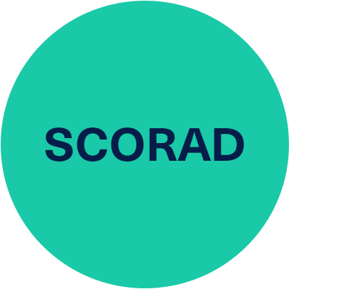 scales-scorad-v1