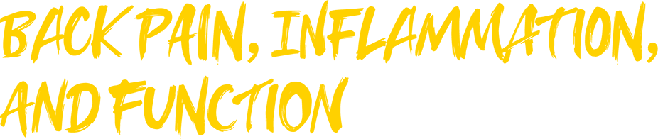 back pain, inflammation, and function