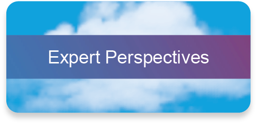 Expert perspectives