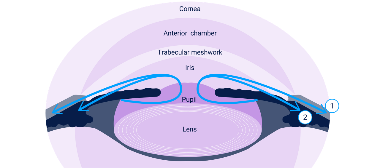 lumigan-md-offers-dual-MOA