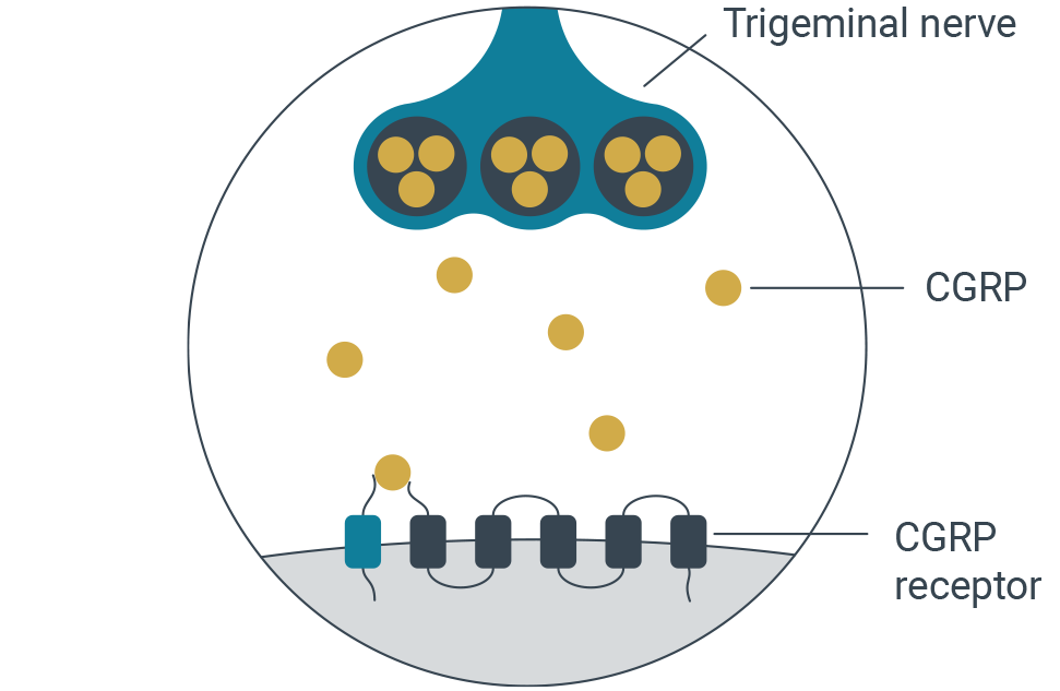 aquipta-diagrams-1-1-5