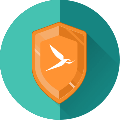 safety icon